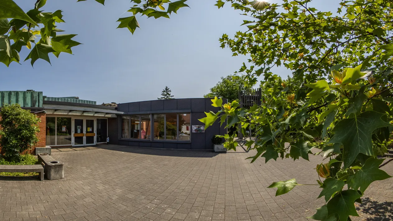Kirchgemeindehaus Feldreben (Foto: Peter Wehrli) Kirchgemeindehaus Feldreben — Vorplatz mit Tulpenbaum des Kirchgemeindehauses (Foto: Peter Wehrli)