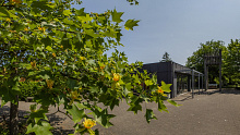 Kirchgemeindehaus Feldreben