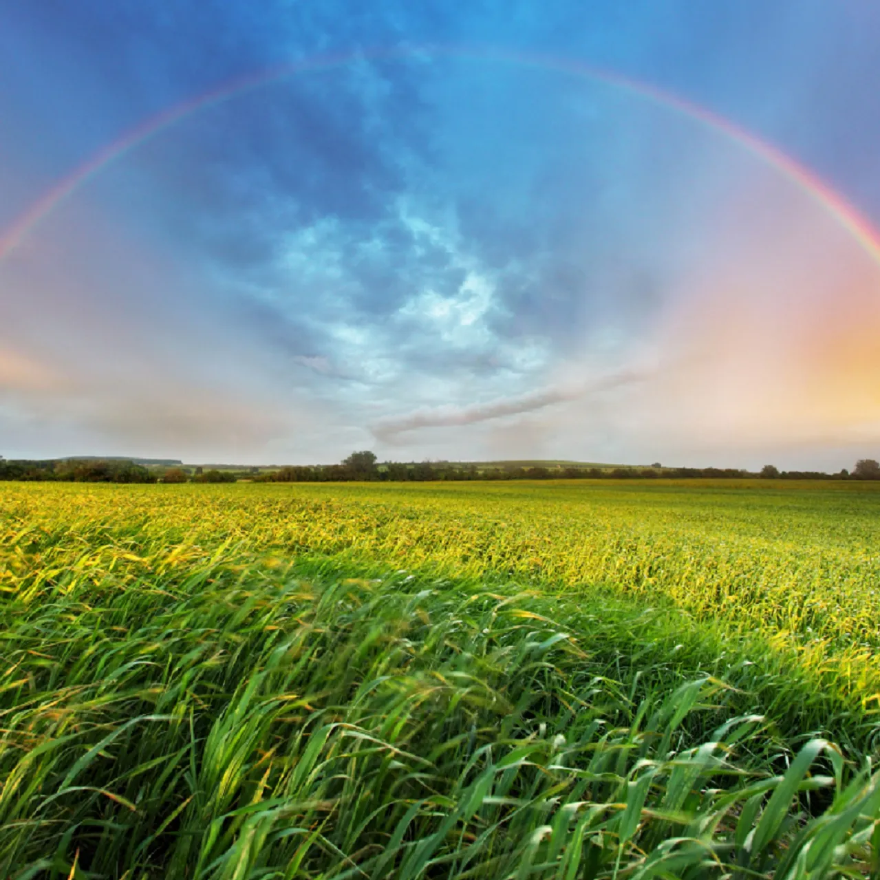 Regenbogen2 (Foto: Canva) Regenbogen2 (Foto: Canva)
