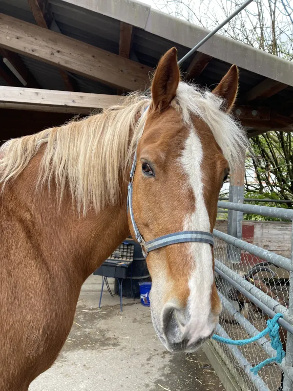 IMG_2395 (Foto: Eva Amantea) IMG_2395 (Foto: Eva Amantea)