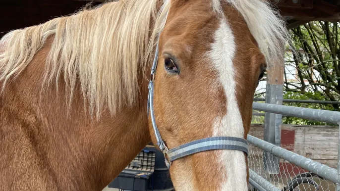 IMG_2395 (Foto: Eva Amantea) IMG_2395 (Foto: Eva Amantea)